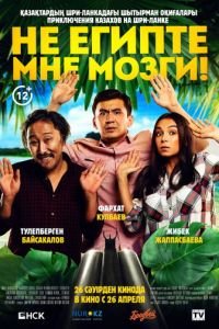 Не египте мне мозги! (2018)