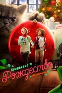   Крошечное Рождество (2017)