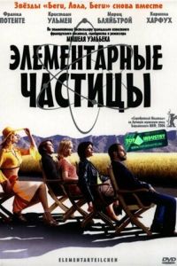 Элементарные частицы (2006)