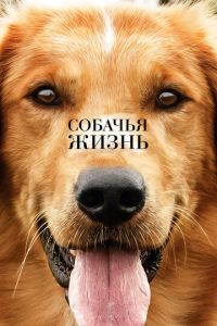   Собачья жизнь (2017)