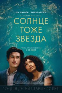   Солнце тоже звезда (2019)