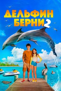   Дельфин Берни 2 (2019)